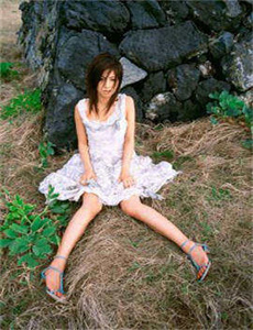 美国派3：美国婚礼