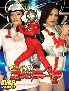 打字员,艺术家,海盗,国王